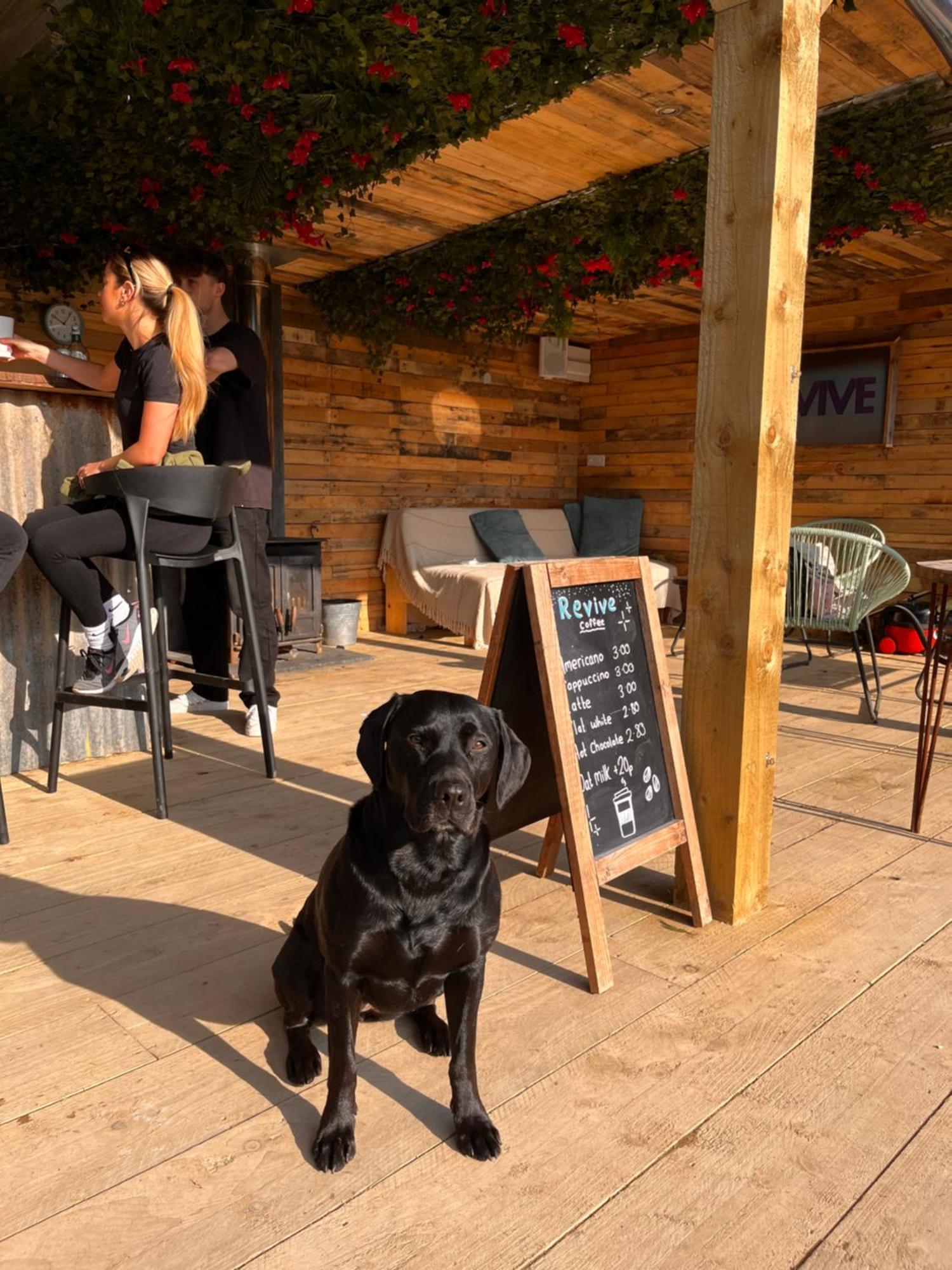 Rostrevor Mountain Lodge - Glamping Pods - Revive Sauna & Hot Tubs Exterior foto
